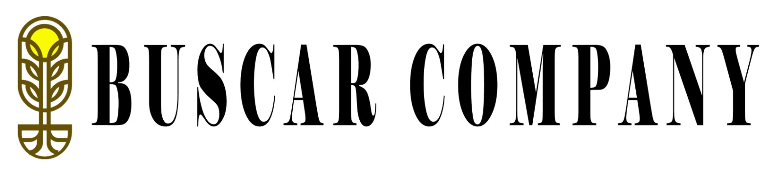 BUSCAR COMPANY